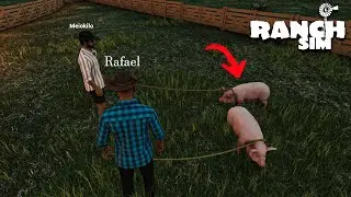 Dia 2 | Construímos o chiqueiro e o galinheiro | Ranch simulator multiplayer