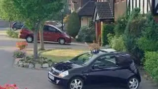 Cat's head gets cut off by car