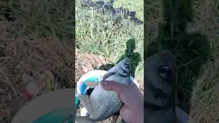 идеальная засечка✅.