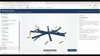 Atlas de la Célula