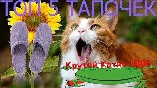 ТОП 5 ЛУЧШИХ ТАПОЧЕК НА РУССКОМ ЮТУБЕ