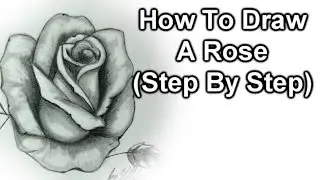 How To Draw A Rose Step By Step