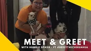 Meet and Greet with Humble Spiker - ft #HeidyTheChihuahua
