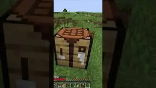 This mod adds crazy Taboulé recipes in Minecraft !