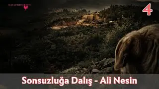Sonsuzları Karşılaştırmak 1 | Ali Nesin