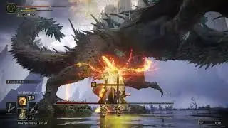 I can't believe the  Luck on this  Dragon Smarag in  Elden Ring !