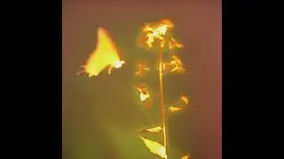 [FREE] SABA X MICK JENKINS X SMINO TYPE BEAT - "FLIGHT"
