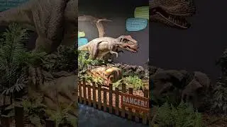 dinosaur