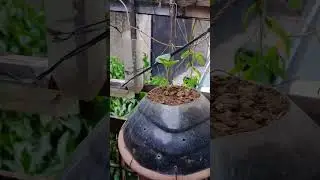 Alhamdulillah ni baru balik kerja