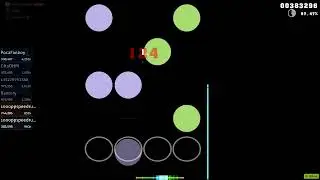 244pp