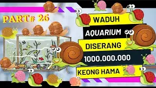 POPULASI KEONG MENGGELUDAK PADA AQUASCAPE
