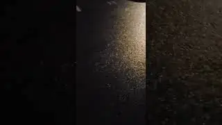 video of cigarettes everywhere