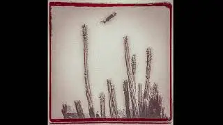 Alejandro Escovedo – La Cruzada (Full Album) 2021