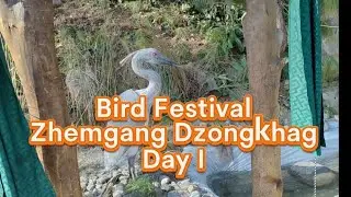 Bird Festival Zhemgang/ Day 1 full coverage