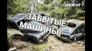 я нашел 25 кг меди