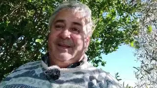 Futuros proyectos en el canal