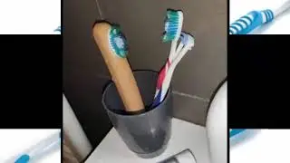 top fife toothbrush