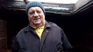 качество и количество приплода