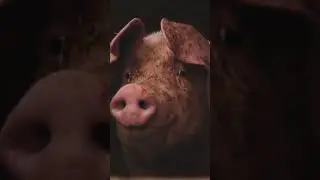 En Estados Unidos ya se puede comer carne artificial 🤔🍗 