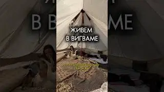 СТРОИМ ДОМ #влог #блог #собака #хиппи #вигвам #приключения