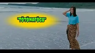 Lagu nias terhits || TÖTÖNAFÖGU || di populerkan oleh wira ziliwu || cover by aberius Waruwu