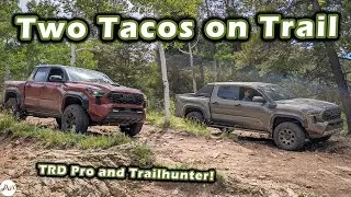 Tacoma TRD Pro vs Trailhunter – Impressions Off-roading and Packaging