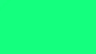 ✨ 1 Hour Solid Green Color Screen | 4K HDR 60fps | Relax & Background 🌟