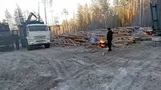 Погрузка в лесосеке и вывозка леса
