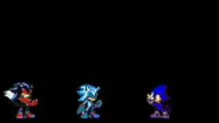 enter tail shark and fin