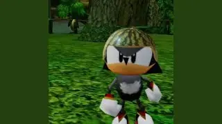 POP