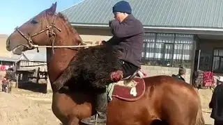 КЕЛИШКЕН АТ ЭКЕН!