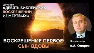Девять библейских воскрешений из мертвых | ВОСКРЕШЕНИЕ ПЕРВОЕ: СЫН ВДОВЫ | Алексей Опарин
