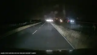 Deer Video Near I-10