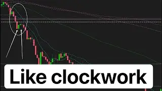 The algo wash pre market! $10,000 green as we called #QQQ #SPY