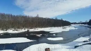 Всё Любовь Птички Everything is Love and birdies