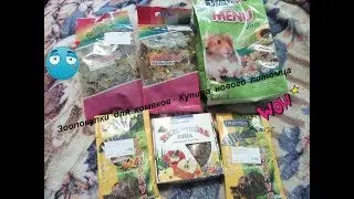 Зоопокупки для хомяков🐹 Купила нового питомца