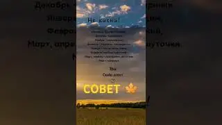 #таро