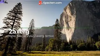Ainsi Bas La Vida (Zaxerg remix)