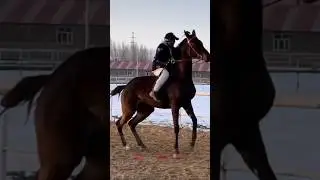 бәйге 🏇 | ат жарыс