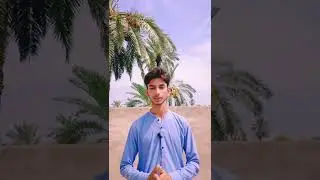 Happy Eid Mubarak #respect#shorts #ytshorts#eidmubarak