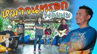 หมาจนตรอก - วงโนเนม [4K MusicVideo]