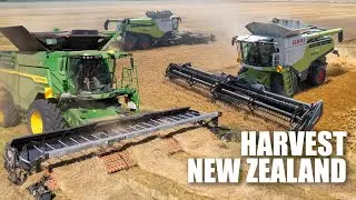 The Best of New Zealand Harvest 2024