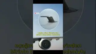 Bir Arı Yüzünden Düşen Boeing 757 Uçağı