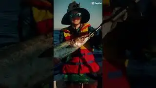 photos collage #photocollage #fishing #beach #photoediting #beautiful #summer #exmouth #tuna #cobia