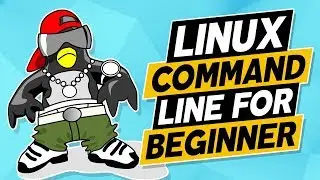 Linux for Beginners: Setup and Configure NGINX