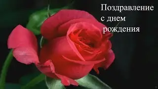 Congratulations on birthday