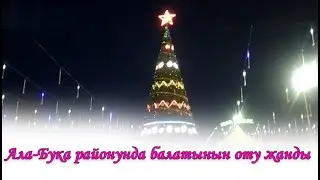 Ала-,Букада Жаңы жылдык башкы балатынын оту жанды