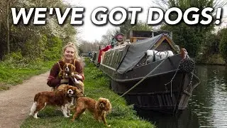 Three Dogs On A NARROWBOAT. Danni's Final Week Aboard.