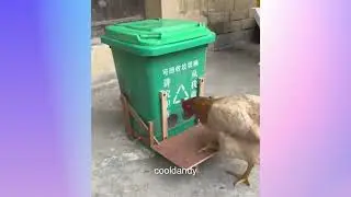 Extraordinary Videos # 48 - 2024 😍👍