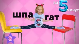 За 5 минут сесть на шпагат! Моя гимнастика